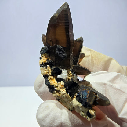 Rare spécimen de tourmaline Schorl et d'orthose de quartz fumé, Erongo, Namibie, 37 x 37 x 26 mm 