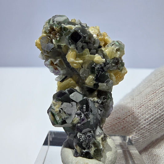 Cube de fluorite fantôme zonal, tourmaline muscovite Schörl hyalite Erongo, Namibie 39 x 24 x 12 mm 