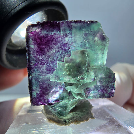 Spécimen de cube de fluorite fantôme, parqueté vert violet Okorusu, Namibie 22*20*11mm 