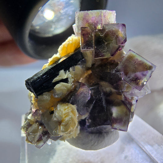 Spécimen de fluorite fantôme colorée, tourmaline scholle, muscovite, Erongo, Namibie, 31 x 21 x 21 mm 