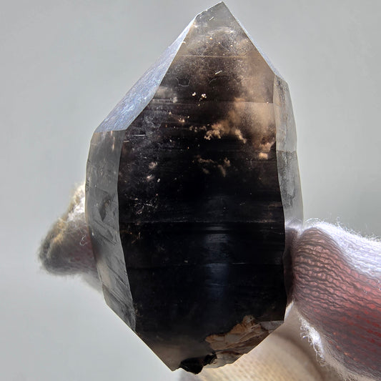 Skeleton Phantom Smoky Quartz DT Scepter Valentine Pocket, Namibia 50*29*20mm 