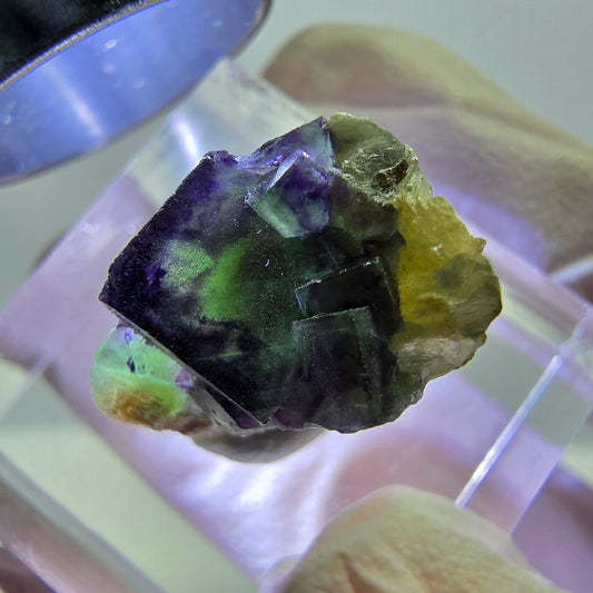 Cube de fluorite fantôme, zonal, spécimen de muscovite, Erongo, Namibie, 18 x 12 x 11 mm 