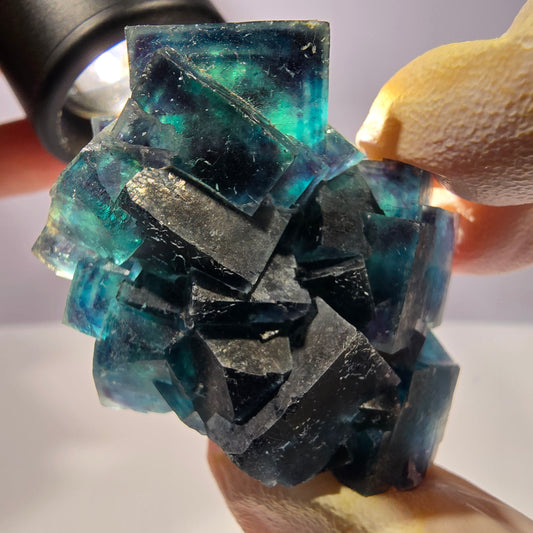 Rare spécimen de cube de fluorite fantôme, poche papillon, Okorusu, Namibie, 51 x 39 x 24 mm