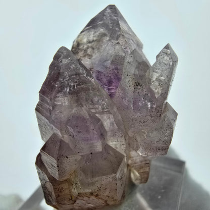 Amas de sceptres d'améthyste fantôme transparent violet brun Goboboseb, Namibie 36*27*20mm 