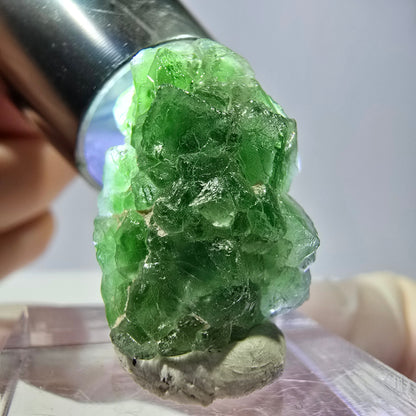 Cube de fluorite fantôme, spécimen de tourmaline Schorl, Erongo, Namibie, 22 x 16 x 16 mm 