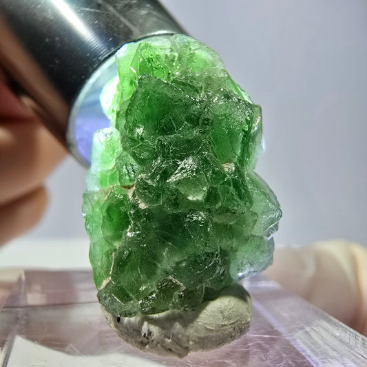 Cube de fluorite fantôme, spécimen de tourmaline Schorl, Erongo, Namibie, 22 x 16 x 16 mm 