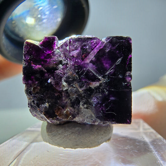 Rare cube de fluorite fantôme, vert violet, Okorusu, Namibie, 19 x 18 x 14 mm 