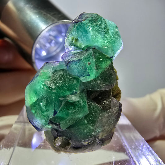 Cube hexagonal de fluorite fantôme, muscovite, tourmaline Schörl, Erongo, Namibie, 26 x 20 x 14 mm 