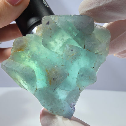 Rare spécimen de cube de fluorite fantôme, parqueté vert Okorusu, Namibie, 51 x 47 x 21 mm 