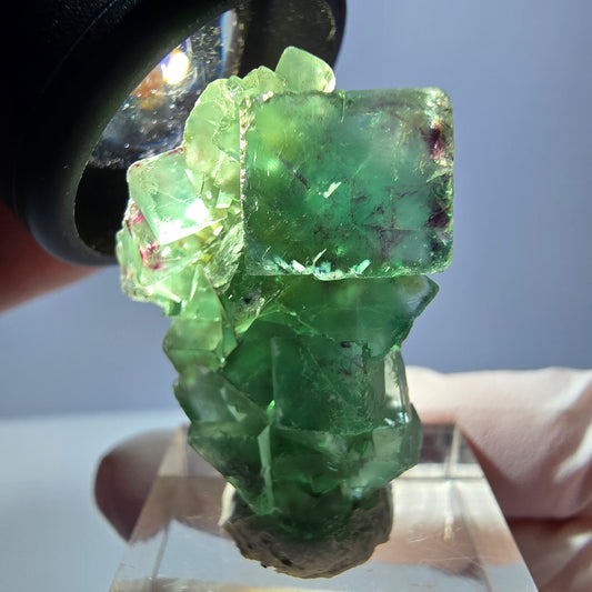 Spécimen de cube de fluorite fantôme, vert violet, Okorusu, Namibie, 34 x 27 x 13 mm 