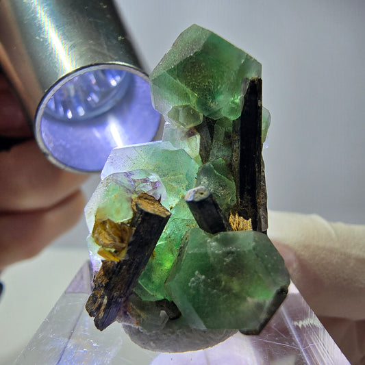Cube hexagonal de fluorite fantôme, muscovite, tourmaline Schörl, Erongo, Namibie, 30 x 23 x 20 mm 