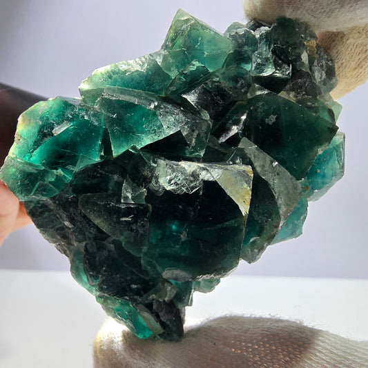 Rare spécimen de cube de fluorite fantôme, vert violet Okorusu Namibie 75*59*25 mm 