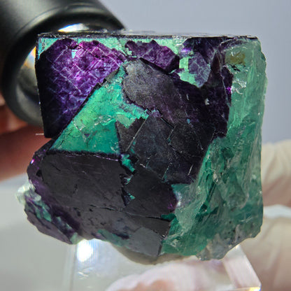 Phantom Fluorit Würfel Stufe grün lila zonal 11:11 Angel Pocket, Namibia 37*33*28mm