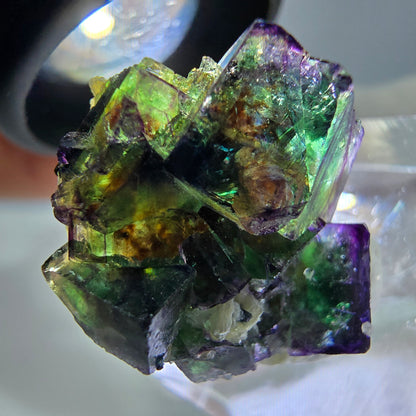 Spécimen de cube de fluorite fantôme zonal, de muscovite et de tourmaline Schorl, Erongo, Namibie, 24 x 18 x 11 mm 