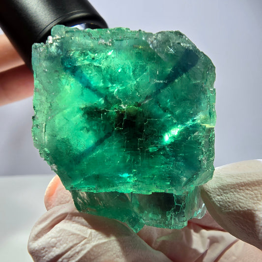 Spécimen de cube de fluorite fantôme, vert parqueté Okorusu, Namibie 50 x 36 x 33 mm 