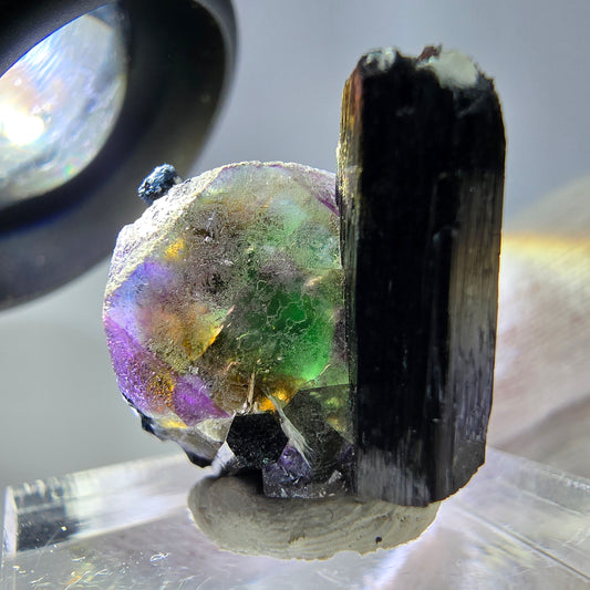 Spécimen de cube de fluorite fantôme zonal, de muscovite et de tourmaline Schorl, Erongo, Namibie, 25 x 20 x 18 mm 