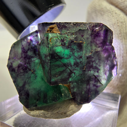 Spécimen rare de cube de fluorite fantôme, vert zonal et violet, Okorusu, Namibie, 30 x 21 x 17 mm 