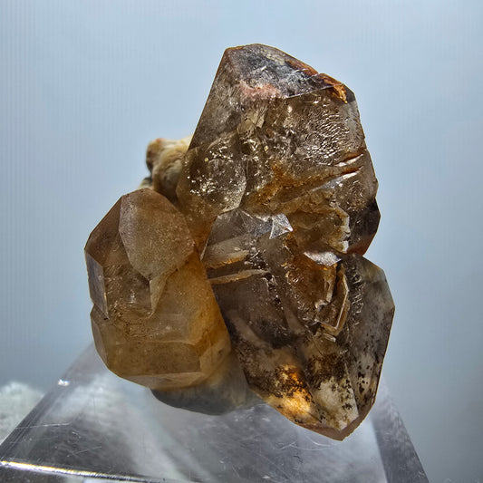 Enhydro Phantom Rauchquarz DT Zepter Stufe, 1x Blase Goboboseb, Namibia 29*23*16mm
