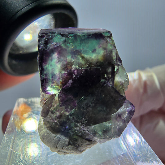 Spécimen de cube de fluorite fantôme, parqueté vert violet Okorusu, Namibie 25*19*15 mm 