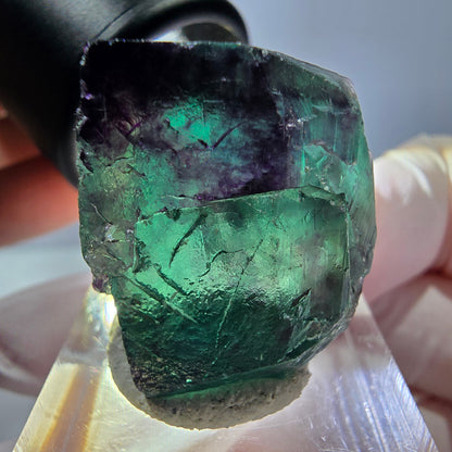 Phantom Fluorit Würfel parkettiert, grün lila Okorusu, Namibia 25*23*20mm