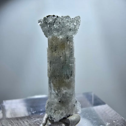Seltener Aquamarin X mit Schörl Turmalin Erongo, Namibia 21*8*6mm
