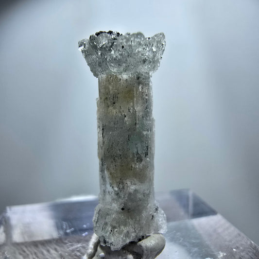 Seltener Aquamarin X mit Schörl Turmalin Erongo, Namibia 21*8*6mm