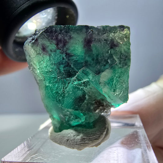 Phantom Fluorit Würfel Stufe, parkettiert grün lila Okorusu, Namibia 25*23*18mm
