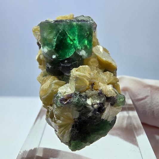 Cube de fluorite fantôme, zonal, muscovite, spécimen de tourmaline Schorl, Erongo, Namibie, 35 x 21 x 20 mm 