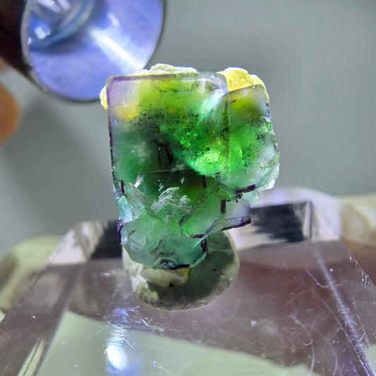 Cube de fluorite fantôme, zonal, spécimen de muscovite, Erongo, Namibie, 17 x 12 x 11 mm 