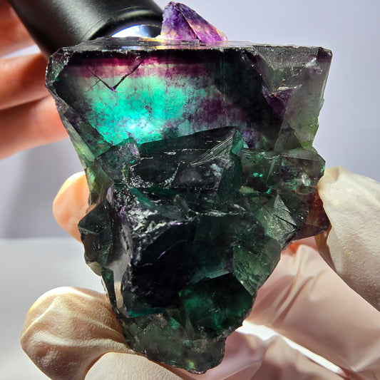 Spécimen de cube de fluorite fantôme, parqueté vert violet Okorusu, Namibie 58*40*27 mm 