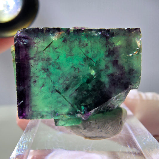 Rare cube de fluorite fantôme parqueté vert violet Okorusu Namibie 30*25*13mm 