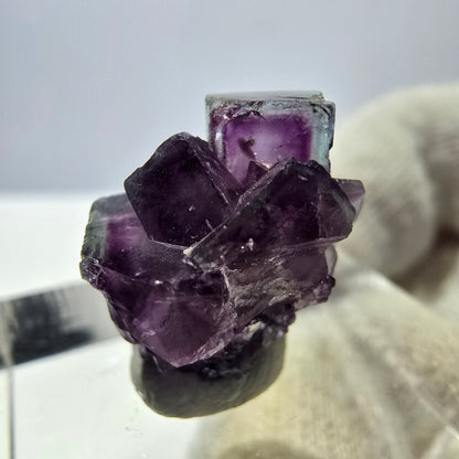 Spécimen de cube de fluorite fantôme, violet-vert, Okorusu, Namibie, 17 x 11 x 12 mm 