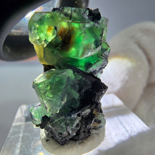 Cube de fluorite fantôme zonal, tourmaline muscovite Schorl Erongo Namibie 24 x 16 x 12 mm 