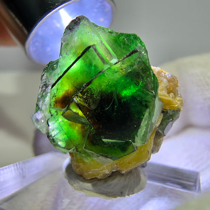 Cube de fluorite fantôme zonal, tourmaline muscovite Schörl, hyalite Erongo, Namibie 25*21*17mm 