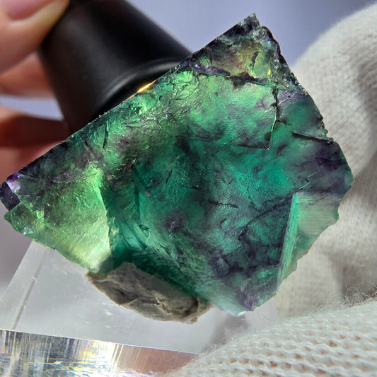 Spécimen rare de cube de fluorite fantôme, vert zonal et violet, Okorusu, Namibie, 36 x 22 x 29 mm 