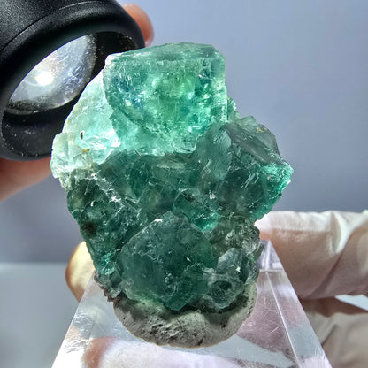 Phantom Fluorit Würfel Stufe, grün parkettiert Okorusu, Namibia 38*28*16mm
