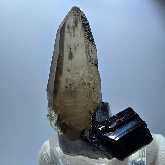 Lemurain Skelett Rauchquarz, Schörl Turmalin, Hyalit Erongo, Namibia 51*38*24mm
