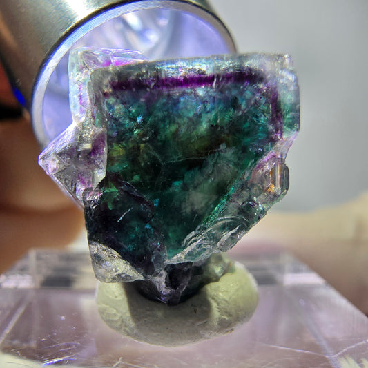 Spécimen de cube de fluorite fantôme, vert violet, Okorusu, Namibie, 18 x 14 x 12 mm 