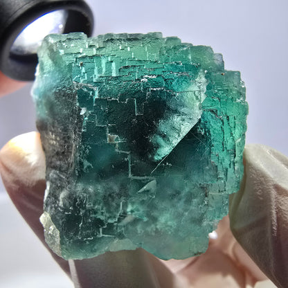 Spécimen de cube de fluorite fantôme transparente, vert parqueté, Okorusu, Namibie, 65 x 46 x 28 mm 