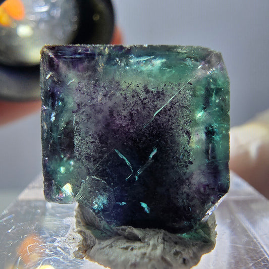 Phantom Fluorit Würfel Stufe, grün lila Okorusu, Namibia 16*14*14mm