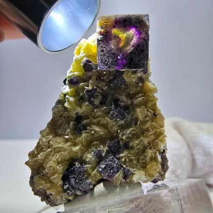 Spécimen de fluorite fantôme colorée, tourmaline scholle, muscovite, Erongo, Namibie, 36 x 28 x 16 mm 