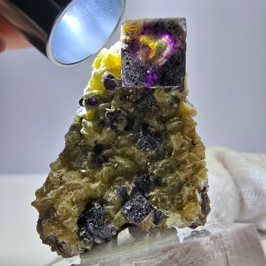 Spécimen de fluorite fantôme colorée, tourmaline scholle, muscovite, Erongo, Namibie, 36 x 28 x 16 mm 