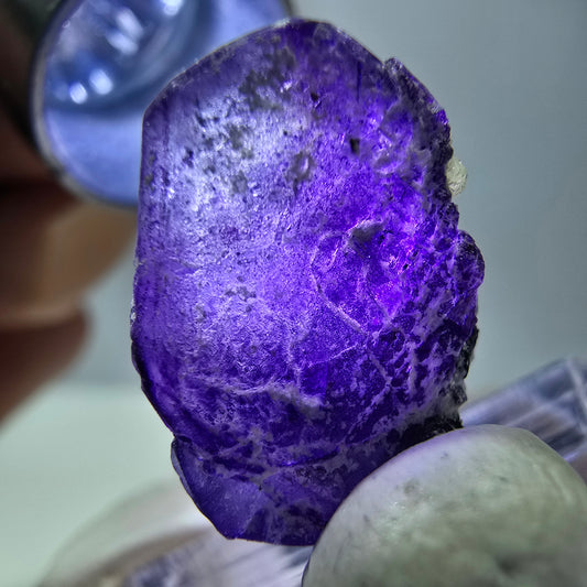 Fluorite fantôme, Moscovite, Schörl Tourmaline Erongo, Namibie 20*13*12mm 