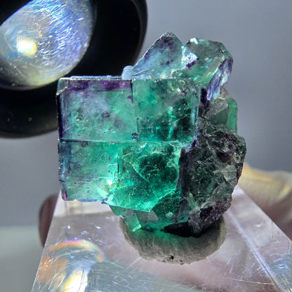 Seltene Fluorit Würfel Stufe, grün lila Okorusu, Namibia 25*23*12mm
