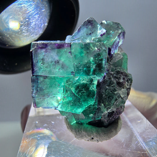Seltene Fluorit Würfel Stufe, grün lila Okorusu, Namibia 25*23*12mm