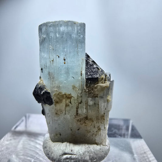 Seltener Aquamarin X mit Schörl Turmalin Erongo, Namibia 22*14*9mm