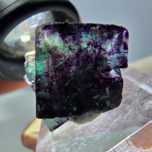 Spécimen de cube de fluorite fantôme, parqueté vert violet Okorusu, Namibie 19*16*16 mm 