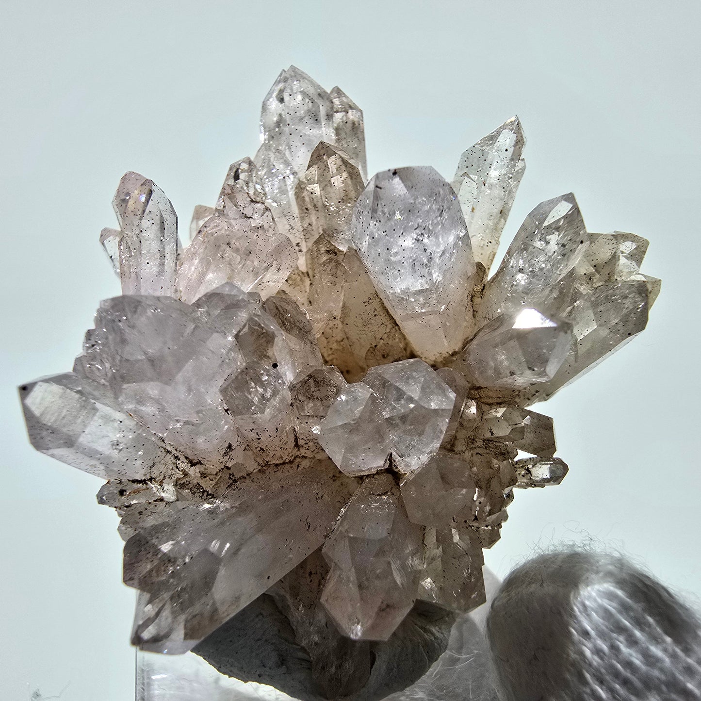 Phantom Smoky Quartz Scepter Cluster Valentine Pocket, Namibia 46*43*25mm 