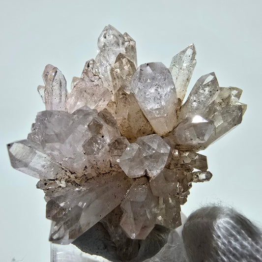 Phantom Smoky Quartz Scepter Cluster Valentine Pocket, Namibia 46*43*25mm 