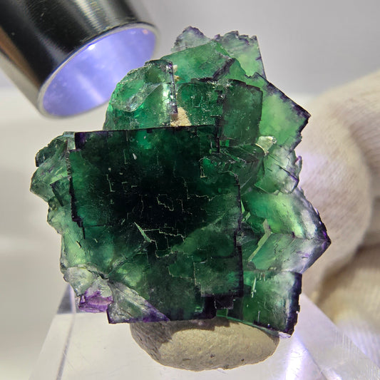 Phantom Fluorite cube specimen parquetted zonal Okorusu, Namibia 31*27*15mm 